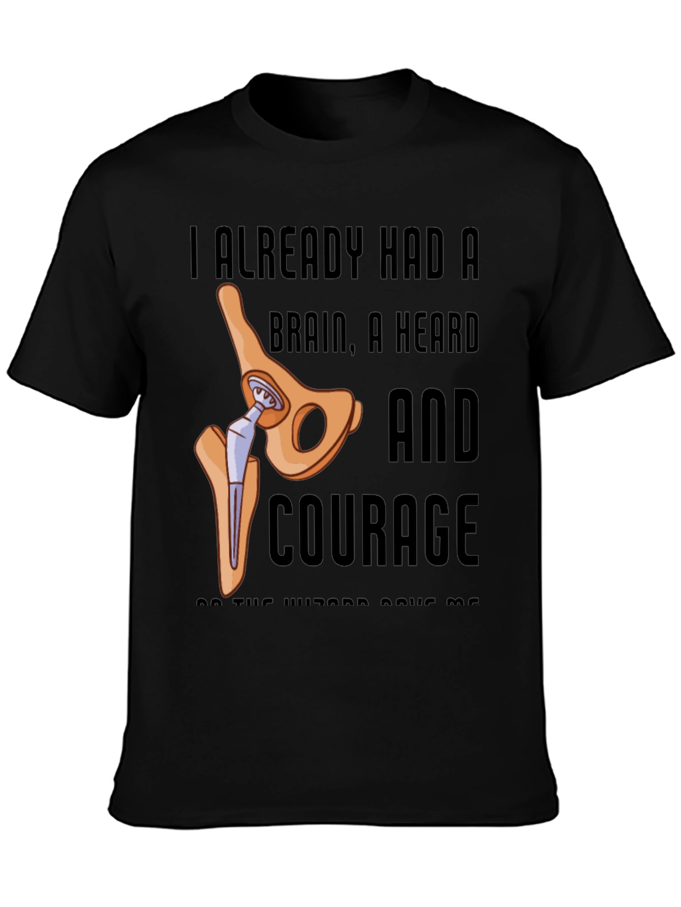 I Already Had A Brain A Heart And Courage T-Shirt