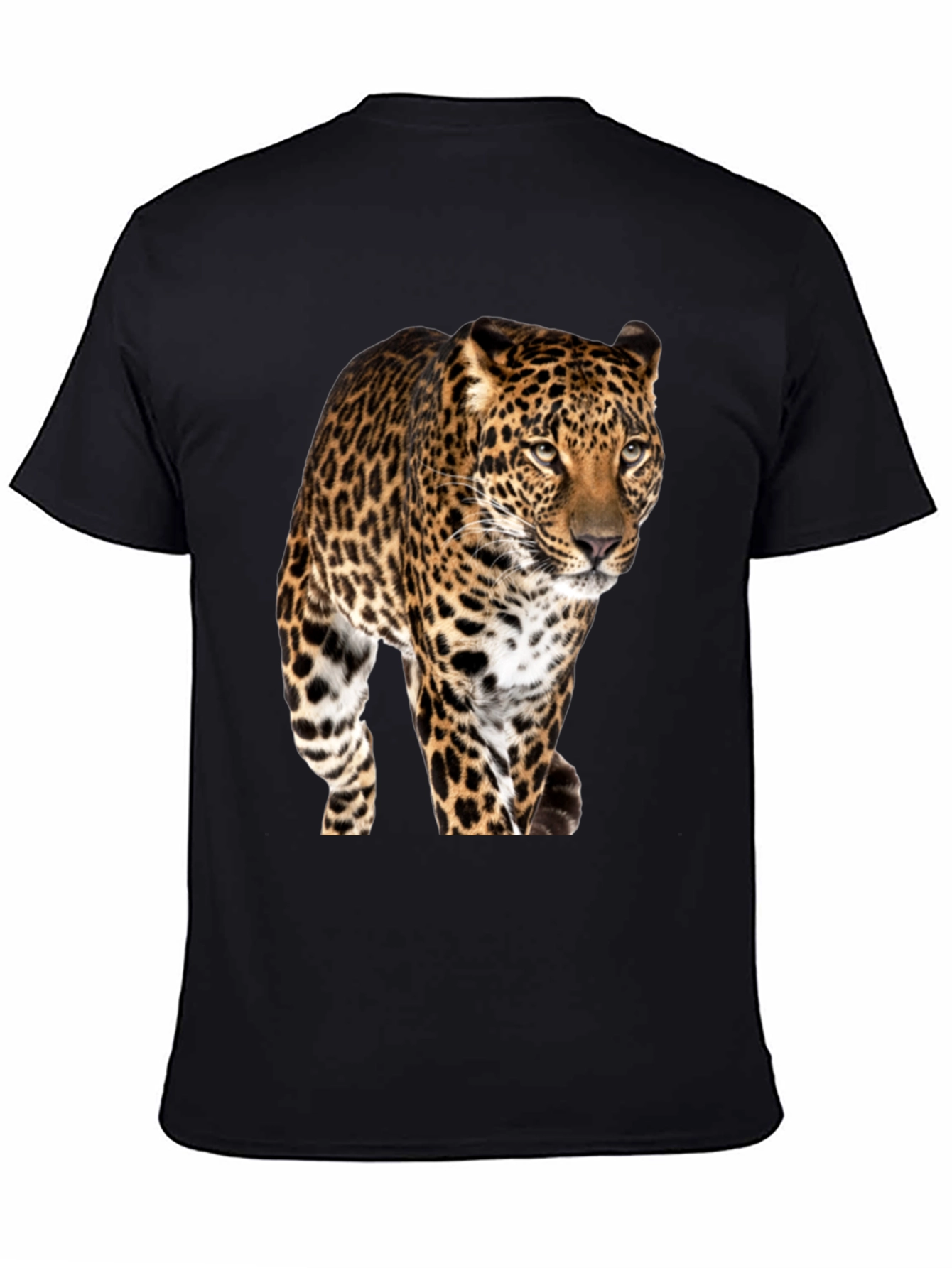 Jaguar Graphic Print Black T-Shirt