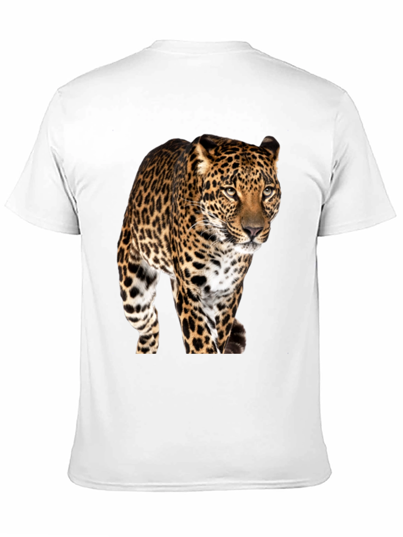 Jaguar Graphic Print Black T-Shirt