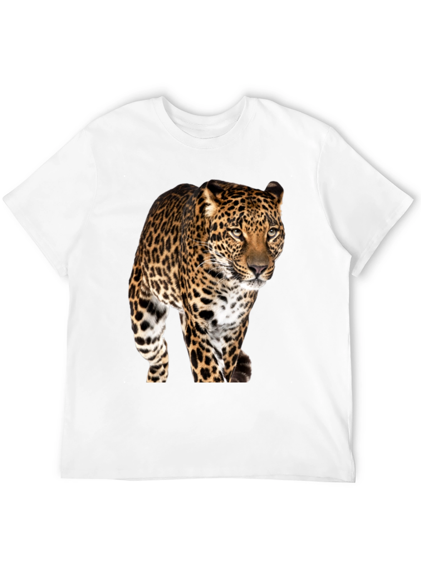 Jaguar Graphic Print Black T-Shirt