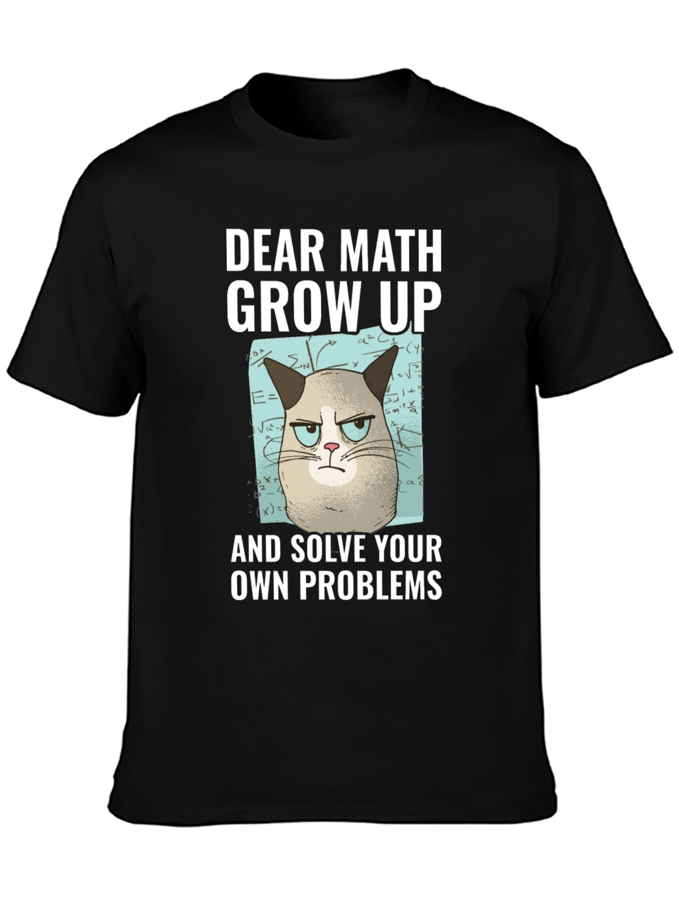 Dear Math Grow Up T-Shirt Grumpy Cat Funny Tee