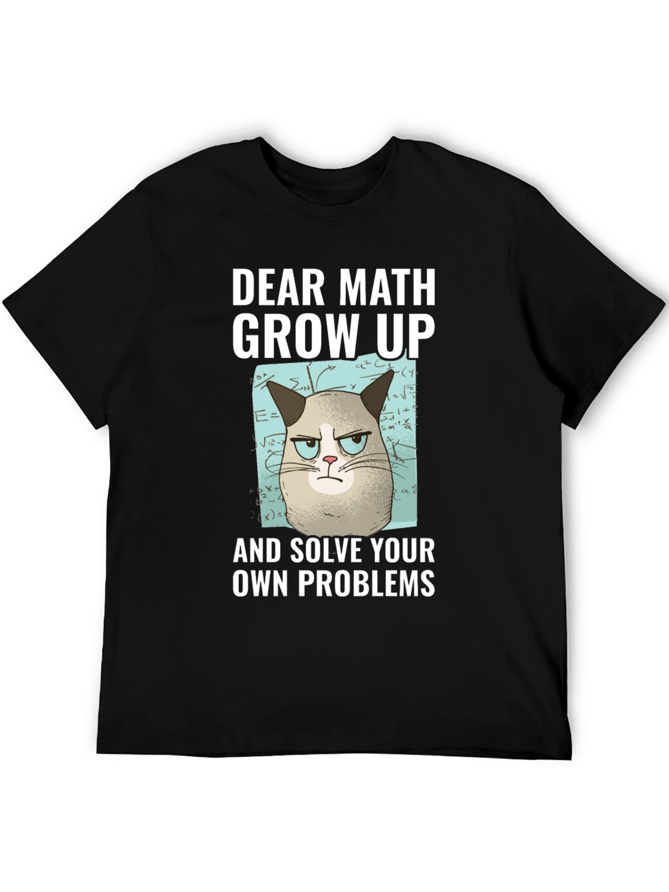 Dear Math Grow Up T-Shirt Grumpy Cat Funny Tee