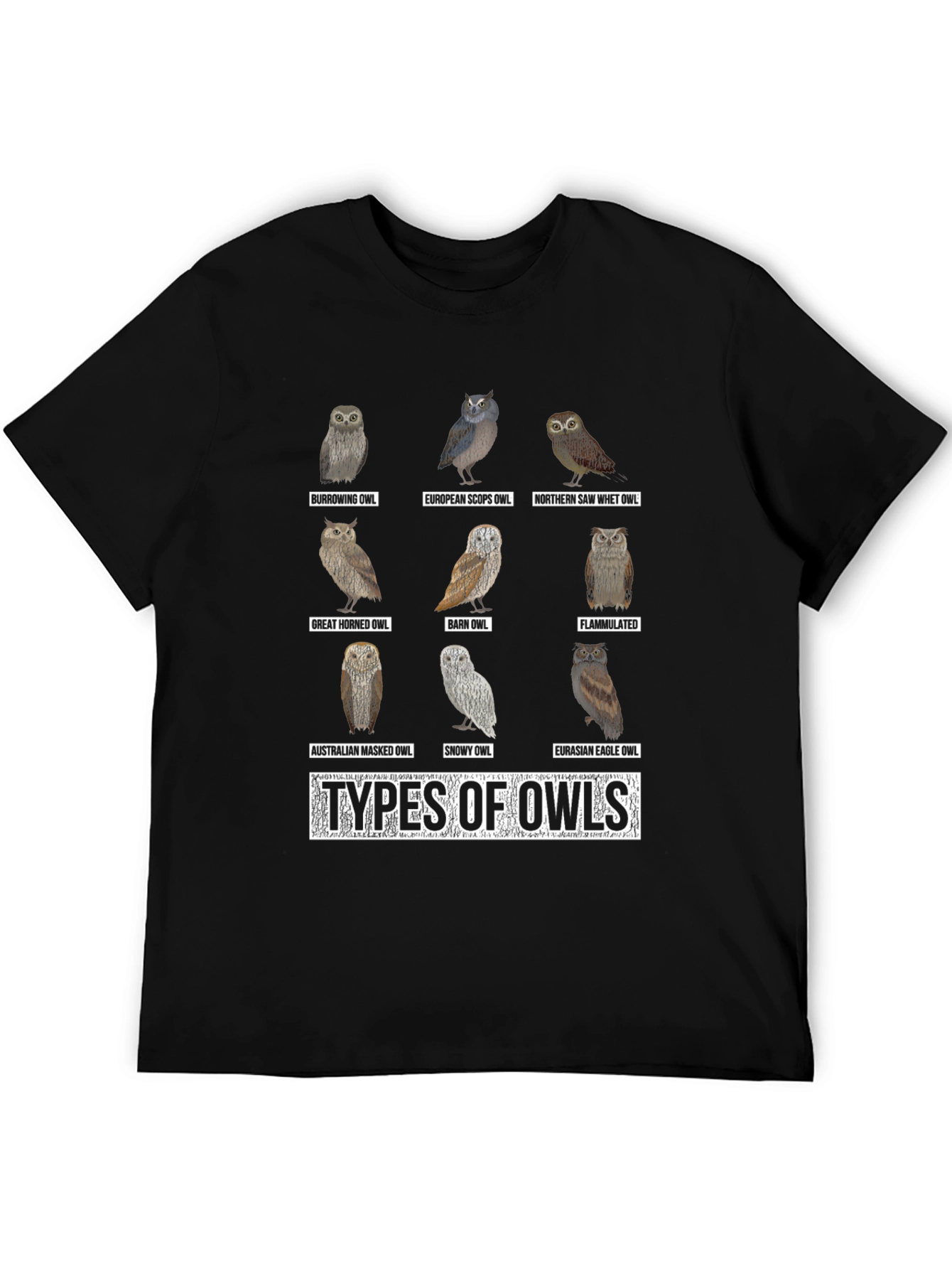 Owl Types Graphic T-Shirt - Bird Lover Tee