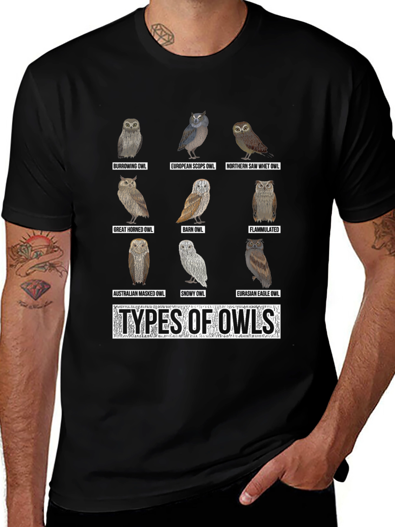 Owl Types Graphic T-Shirt - Bird Lover Tee