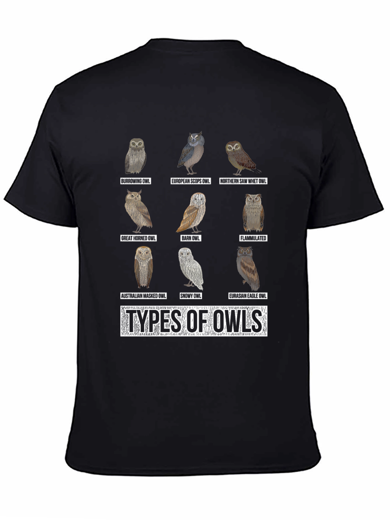 Owl Types Graphic T-Shirt - Bird Lover Tee