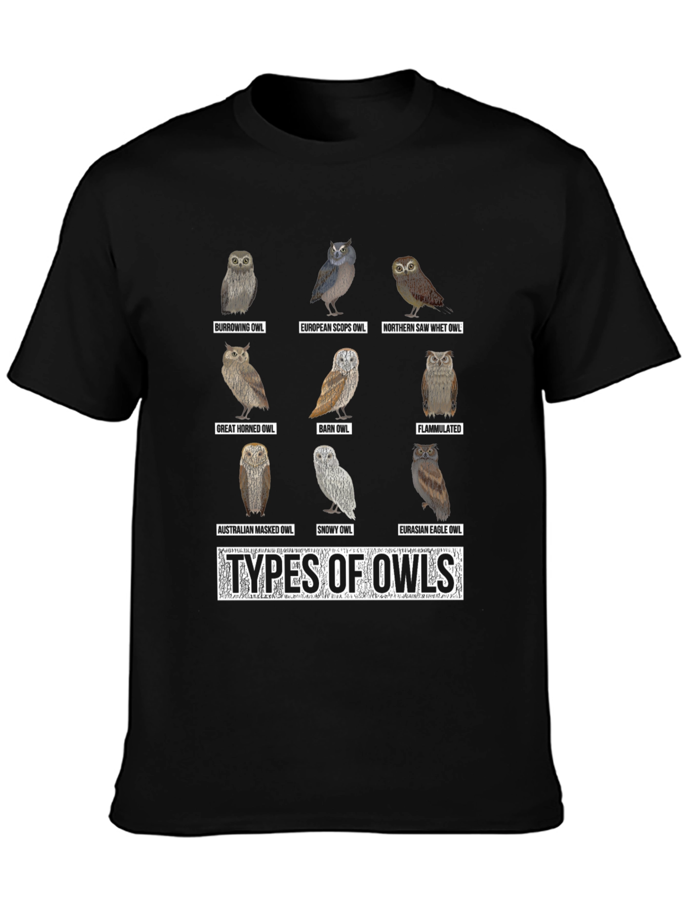 Owl Types Graphic T-Shirt - Bird Lover Tee