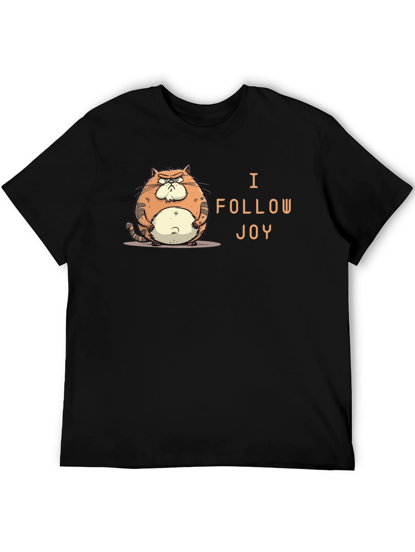 Funny Grumpy Cat Black T-Shirt - I Follow Joy!