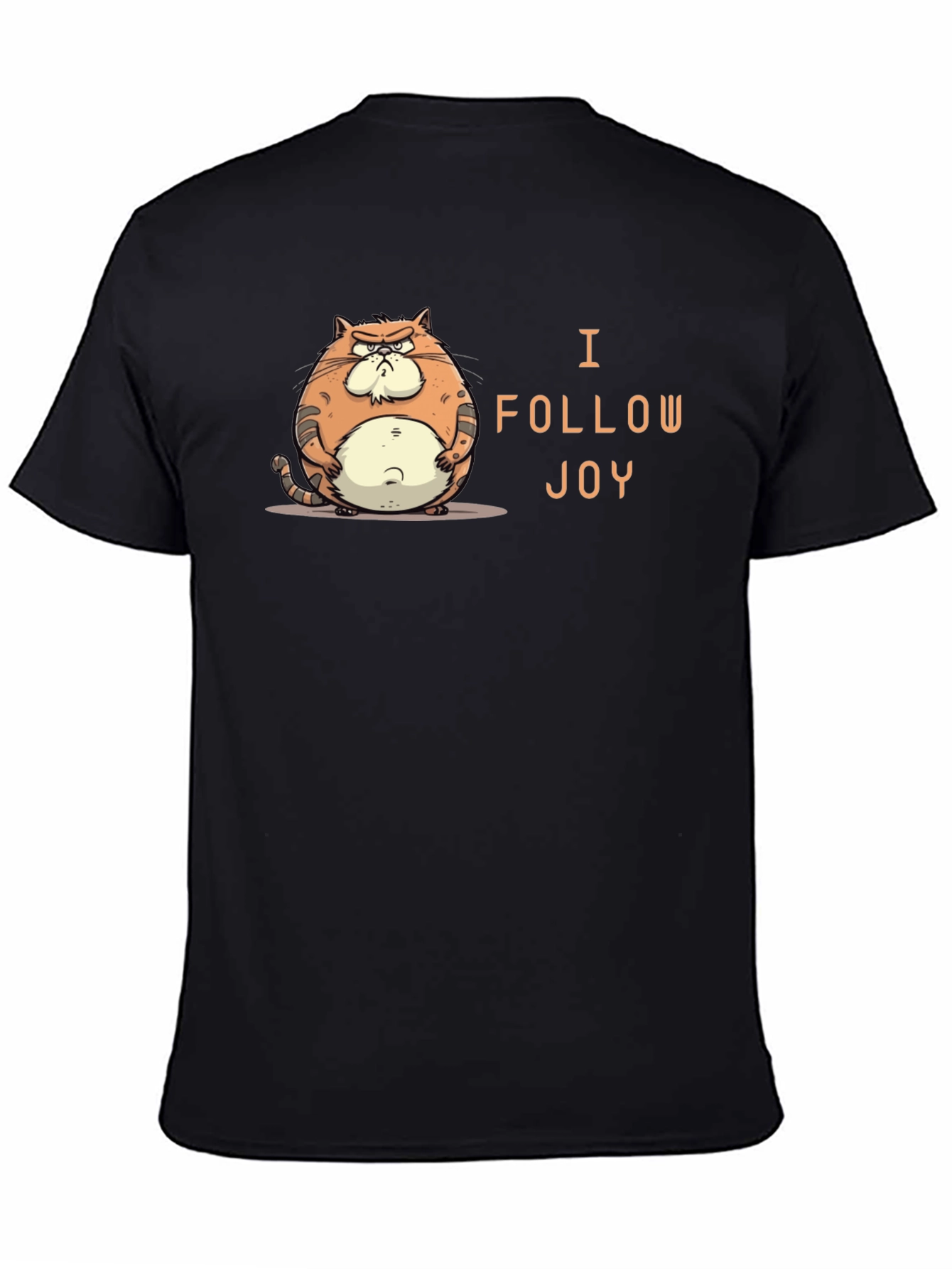 Funny Grumpy Cat Black T-Shirt - I Follow Joy!